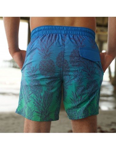 Islander Elastic Volley Shorts brillant des détails fins